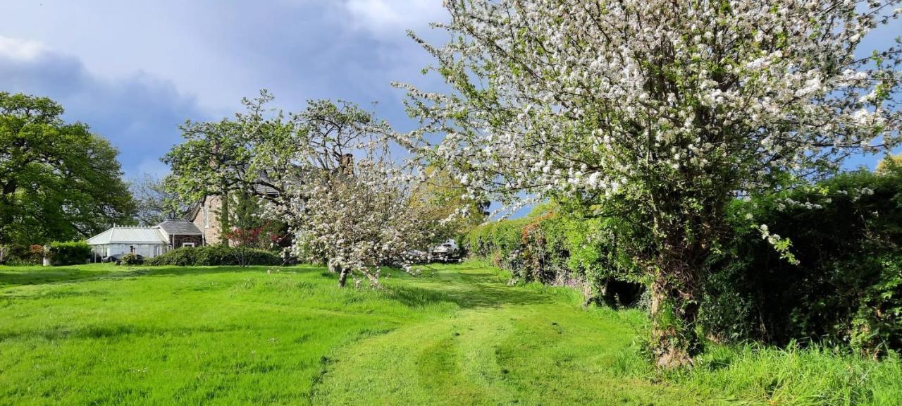 Mid-Wales Farmhouse, Swimming Pool, Tranquil Countryside Views, Sleeps 14 Meifod Zewnętrze zdjęcie